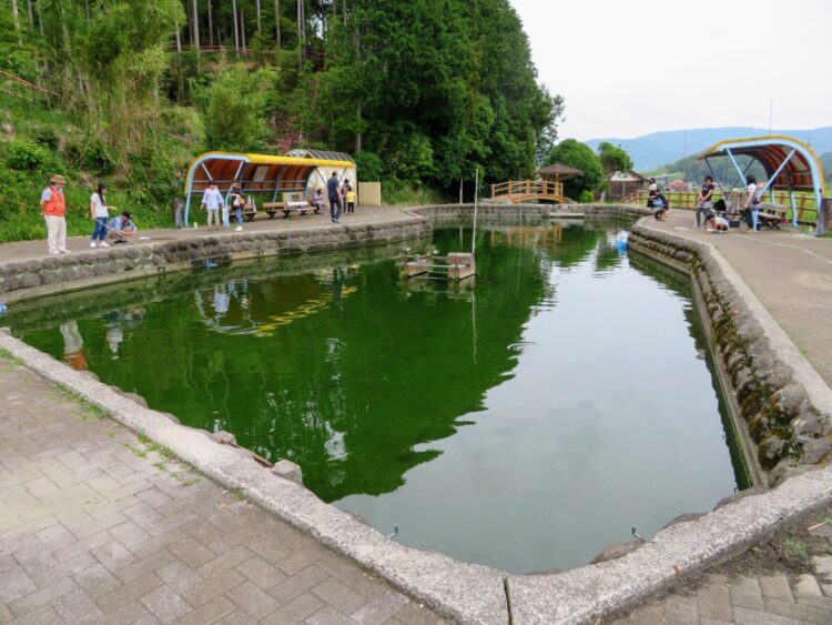 美祢市養鱒場釣り堀