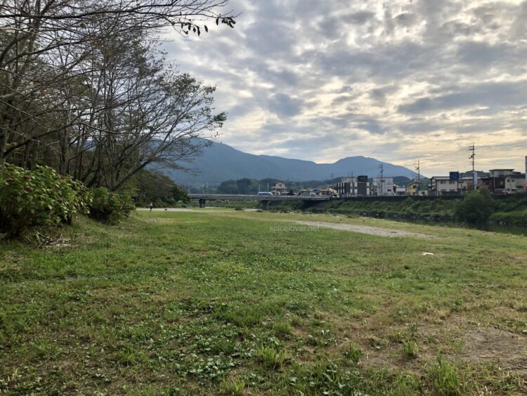 予約不要の無料キャンプ場 知清河原 愛媛県 内子町 ゆるーくスパイス生活 予約不要の無料キャンプ場 知清河原 愛媛県 内子町 ゆるーくスパイス生活