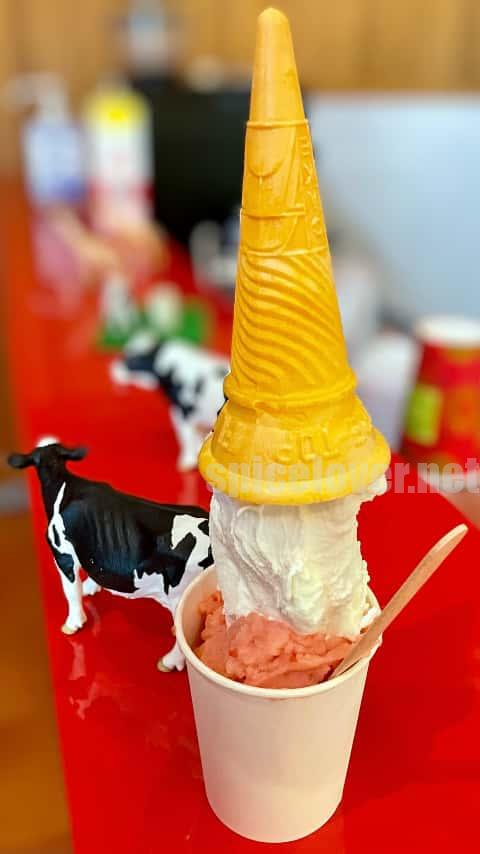 しぼりたて牛乳とすももジェラート